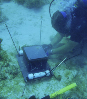 Autonomous Reef Monitoring Structure