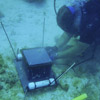 Autonomous Reef Monitoring Structure