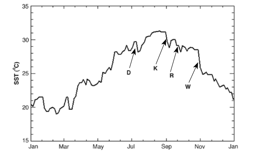 2005 sea surface temperature records at Sombrero Reef show the rapid drop in temperature following the passage of hurricanes Dennis (D), Katrina (K), Rita (R), and Wilma (W).