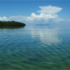 Photo of mangrove island in Florida Keys.
