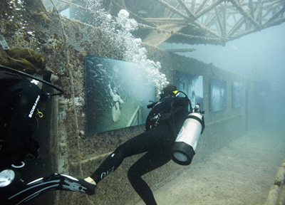 Diver views art on side of shipwreck.