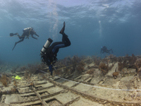 NOAA science divers from the national marine sanctuary system and National Association of Black Scuba Divers are trying to confirm the identity of a shipwreck six miles off Key Largo at Elbow Reef.